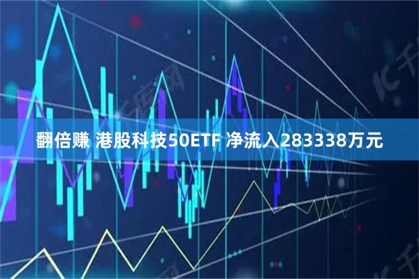 翻倍赚 港股科技50ETF 净流入283338万元