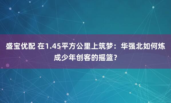 盛宝优配 在1.45平方公里上筑梦：华强北如何炼成少年创客的摇篮？