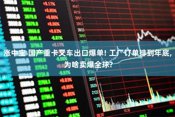 涨中宝 国产重卡叉车出口爆单! 工厂订单排到年底, 为啥卖爆全球?